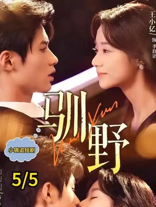 山海情 更新卡片